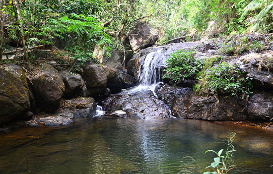 Koh Pong trekking ratanakiri